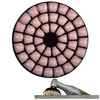 PROXXON PR28659 TARCZA SZLIFIERSKO-POLERUJĄCA DO WP/E I WP/A GR.400